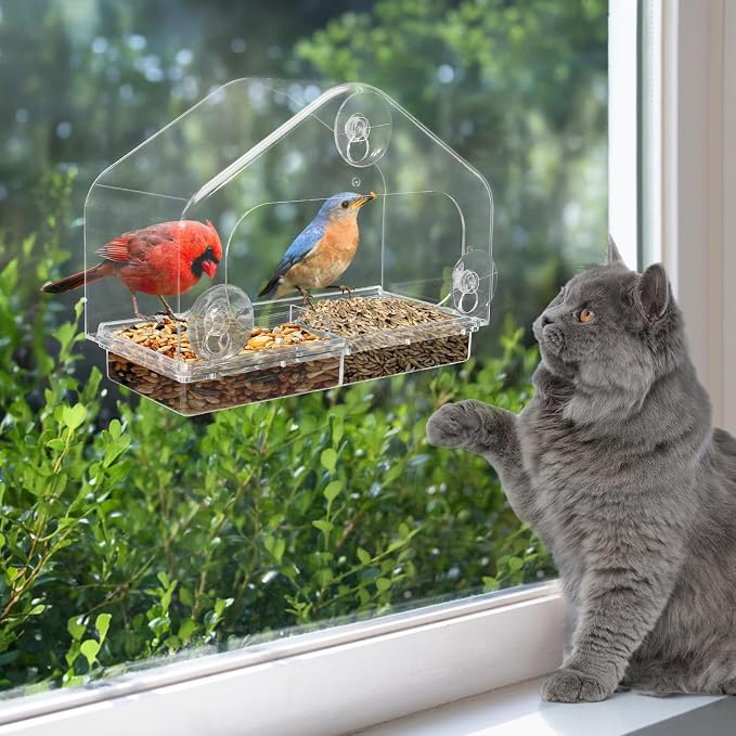 Outdoor Window Bird Feeder for Cats Viewing by MEWTOGO