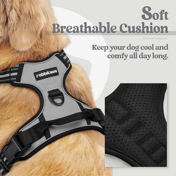 rabbitgoo Dog Harness No Pull - Image 2