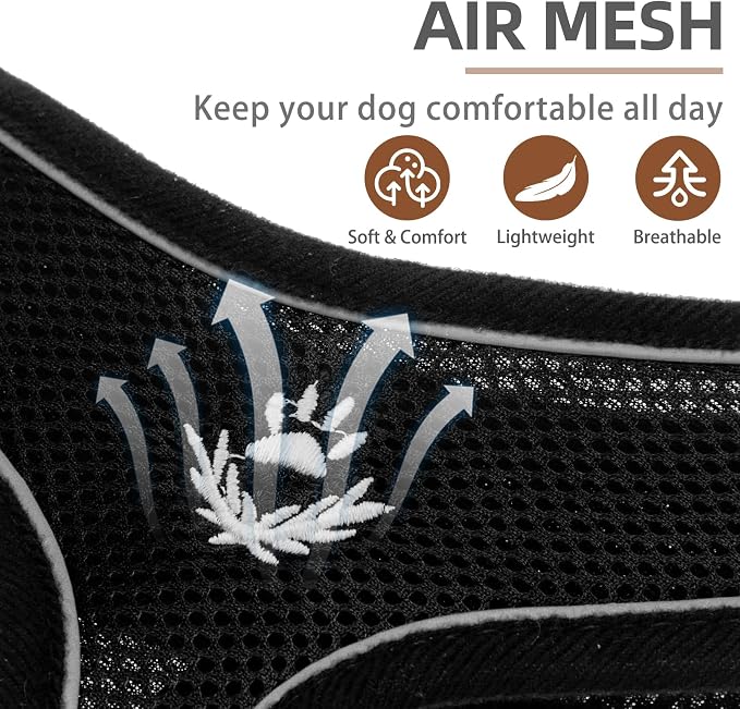 PUPTECK Soft Mesh Dog Harness and Leash Set Pet Puppy Cat Comfort Padded Vest - Image 2