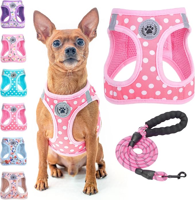 BEAUTYZOO Step in Dog Harness and Leash Set, Polka Dot Pattern Reflective Dog by BEAUTYZOO