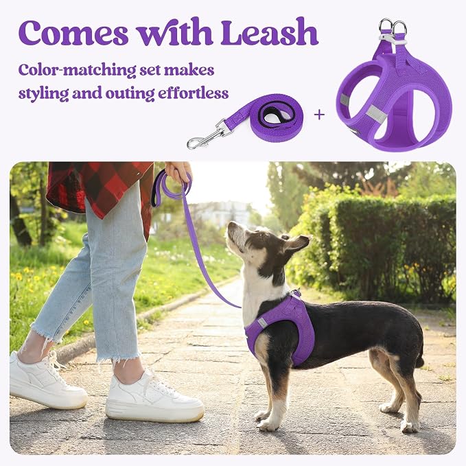 rabbitgoo Dog Harness Small Sized and Leash Set, Step in Soft Light Puppy Vest - Image 5