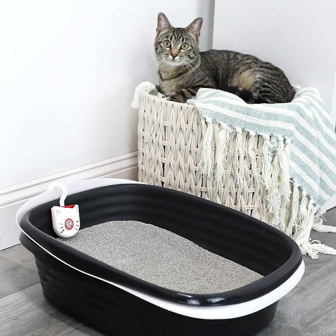 Arm & Hammer Cat Litter Pan Purrifying Pak, Removeable 30 Day Litter Box - Image 6