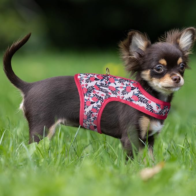 Mile High Life Dog Harness, Air Mesh Floral Vest Harness - Image 8
