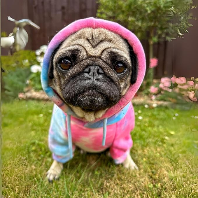 Spark Paws Dog Hoodie – Premium Dog Sweater - Image 3