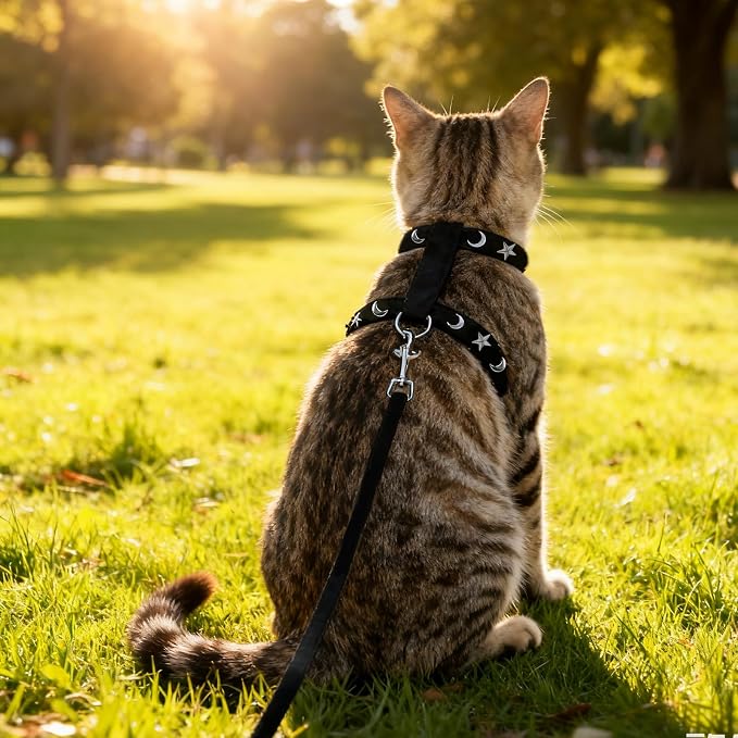 EXPAWLORER Cat Harness and Leash Set - Image 7