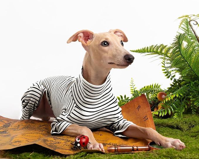 Dog Sweaters for Small Dogs Girls Boys, Striped Pet Sweaters for Fall Winter - Image 5