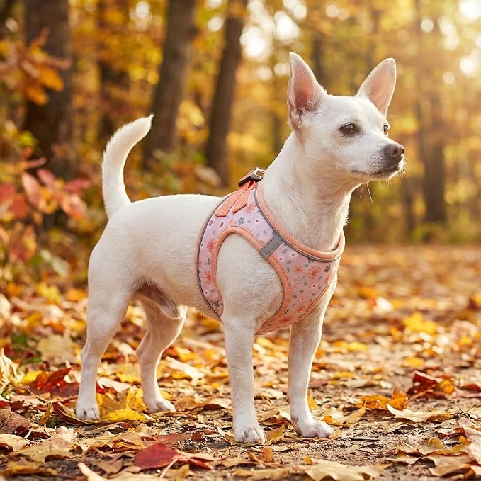 Step in Dog Harness and Leash Set, Reflective Adjustable No Pull Dog Harness - Image 5