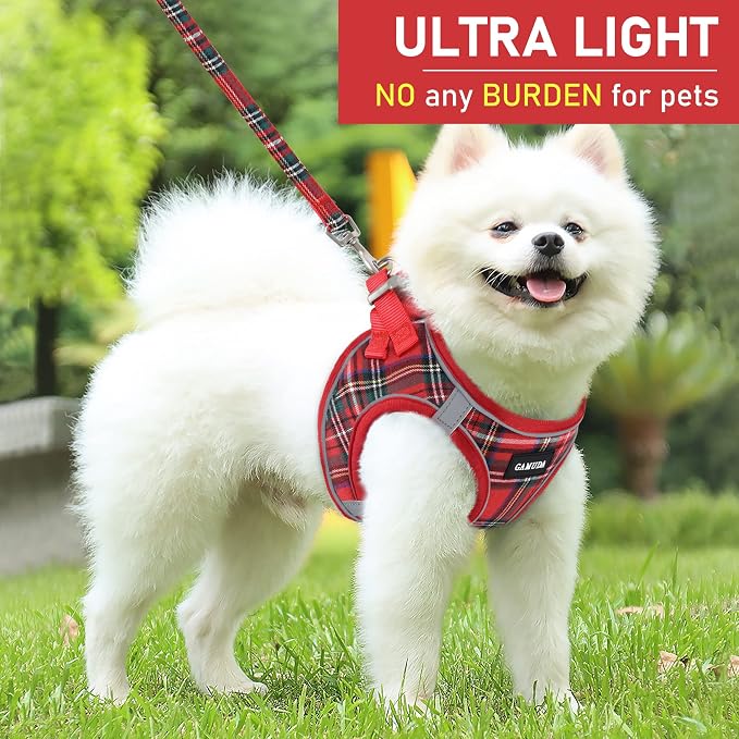 GAMUDA Small Dog Harness Collar and Leash Set, Step in No Chock No Pull Soft - Image 6