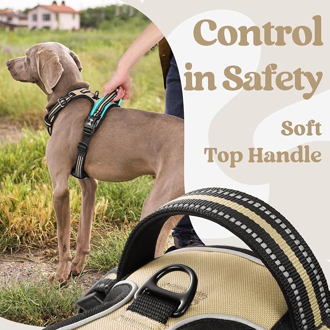 rabbitgoo Dog Harness for Large, No Pull Pet Harness - Image 5