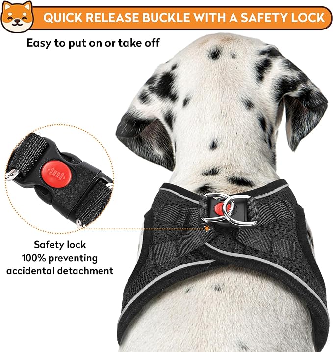 Dog Harness with Leash Set, No-Pull Step-in Reflective Pet Harness with 1 Leash - Image 3