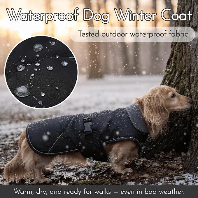 Waterproof & Windproof Dachshund Coat - Image 3