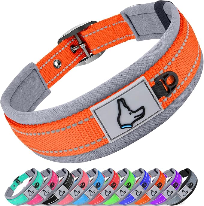 Joytale Dog Collar for Small Dogs, Neoprene Padded and Adjustable, Reflective by Joytale