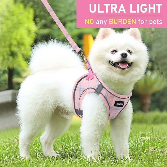 GAMUDA Small Dog Harness Collar and Leash Set, Step in No Chock No Pull Soft - Image 6