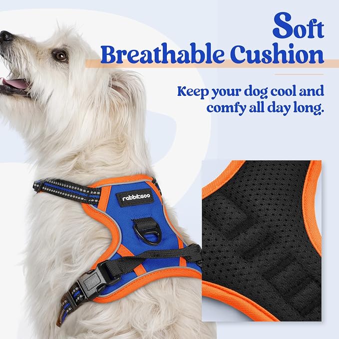 rabbitgoo Dog Harness No Pull - Image 2
