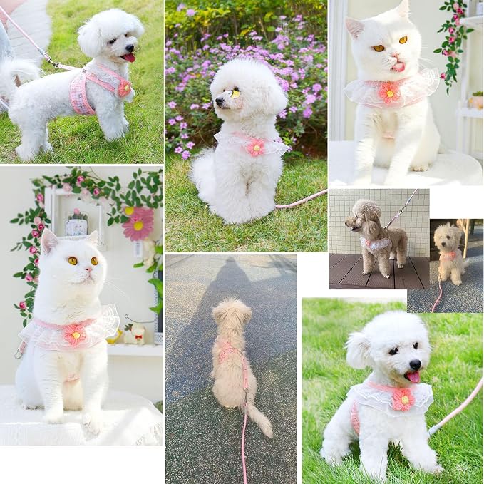 Cat Harness Collar and Leash Set, Sweet Lace Floral Kitten Collar, Escape Proof - Image 7
