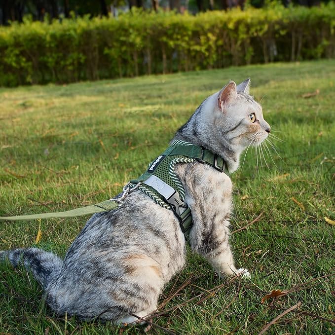 Cat Harness and Leash Escape Proof Medium Kitten Harness Bengal Cat Vest - Image 2