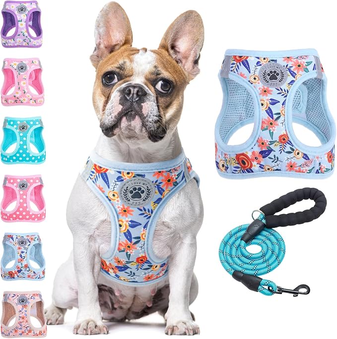 BEAUTYZOO Step in Dog Harness and Leash Set, Floral Pattern Reflective No Pull by BEAUTYZOO