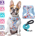 BEAUTYZOO Step in Dog Harness and Leash Set, Floral Pattern Reflective No Pull by BEAUTYZOO