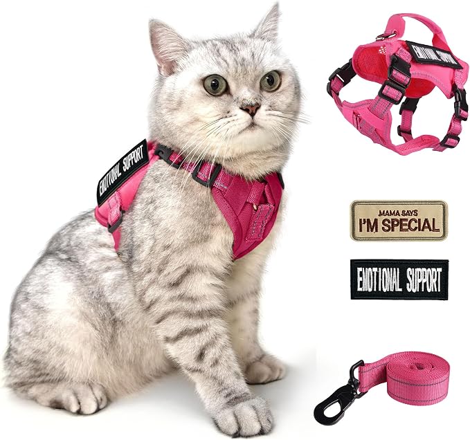 Tactical Cat Harness and Leash Pink by Papipets