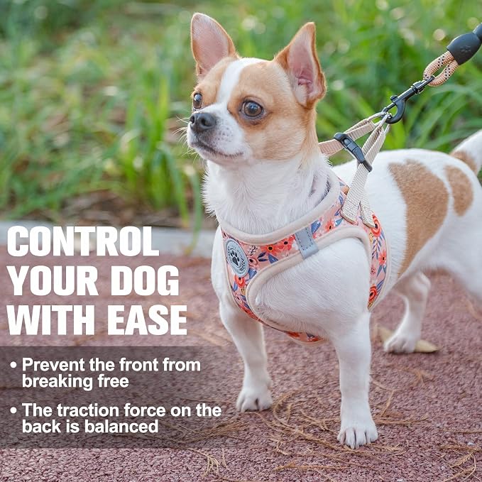 BEAUTYZOO Step in Dog Harness and Leash Set, Floral Pattern Reflective Dog - Image 7