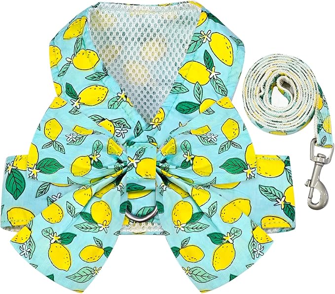 BAEJMJK Dog Harness and Leash Set by BAEJMJK