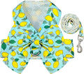 BAEJMJK Dog Harness and Leash Set by BAEJMJK
