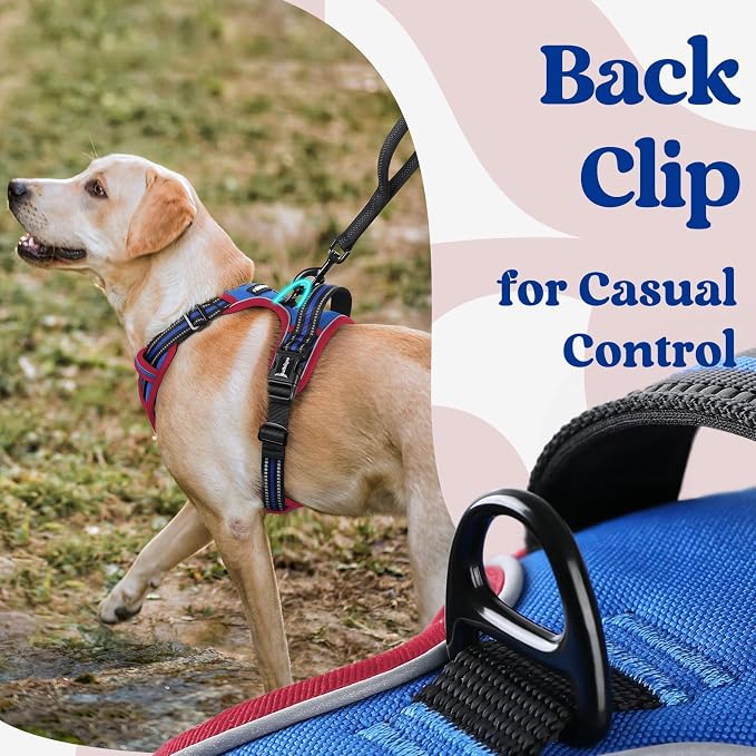 rabbitgoo Dog Harness Medium Sized, No Pull Pet Harness - Image 5