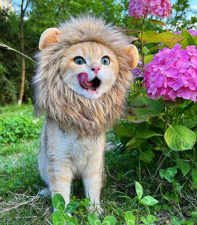 Lion Mane Wig for Cat, Funny Pet Cat & Puppy Costumes for Halloween & Christmas - Image 2