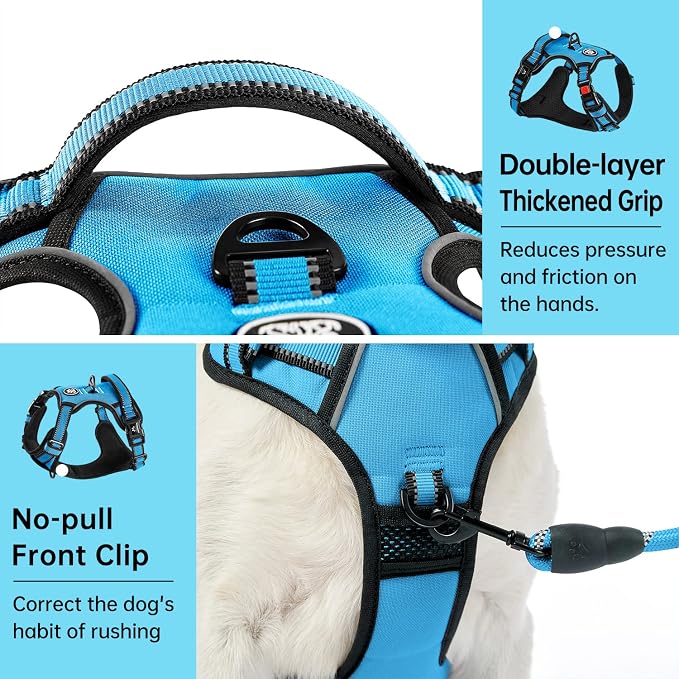 IVY&LANE No Pull Dog Harness for Small Dogs, Dog Vest Harness - Image 5
