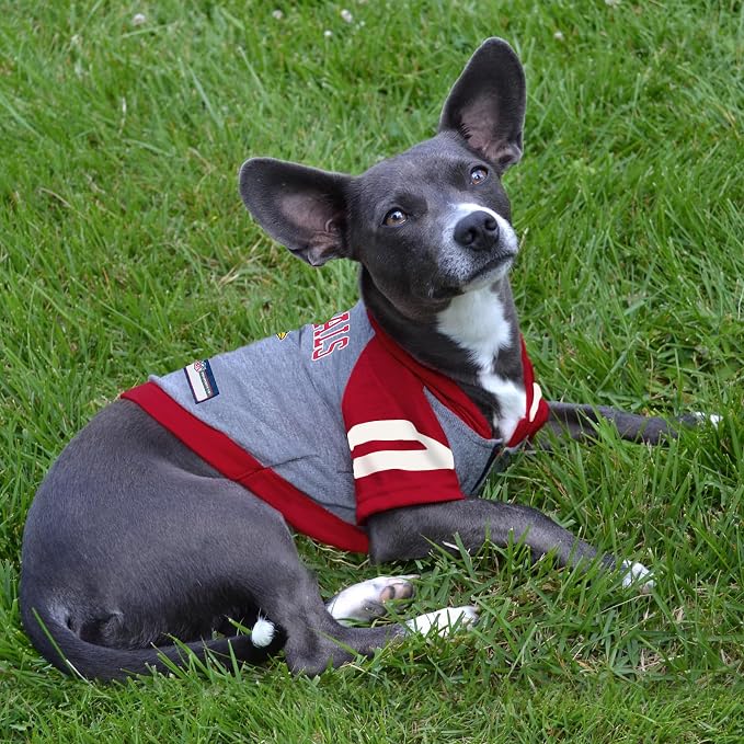 Pets First NFL Arizona Cardinals Hoodie - Image 4