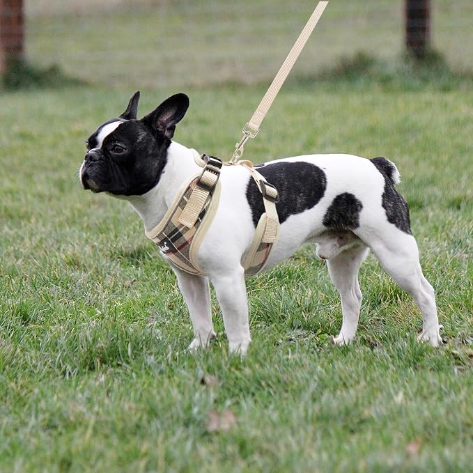 PUPTECK Soft Mesh Dog Harness and Leash Set Pet Puppy Cat Adjustable Reflective - Image 6