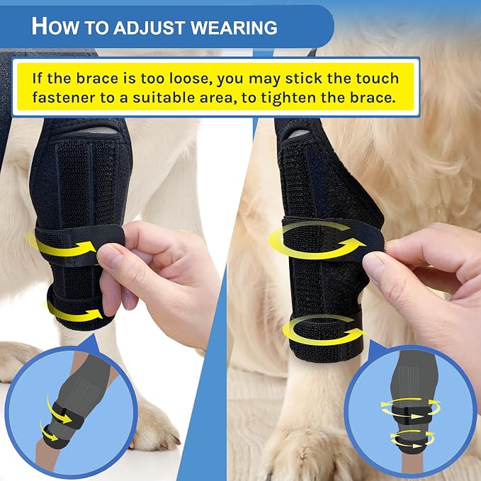 Dog Knee Brace for Torn ACL Hind Leg, Canine Leg Support for ACL/CCL & Cruciate - Image 5