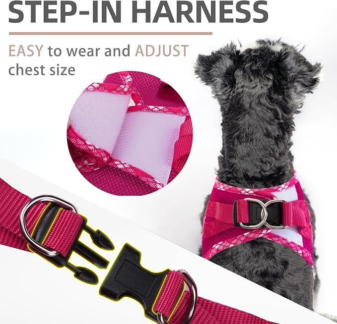 PUPTECK Dog Harness and Leash Set - Image 3