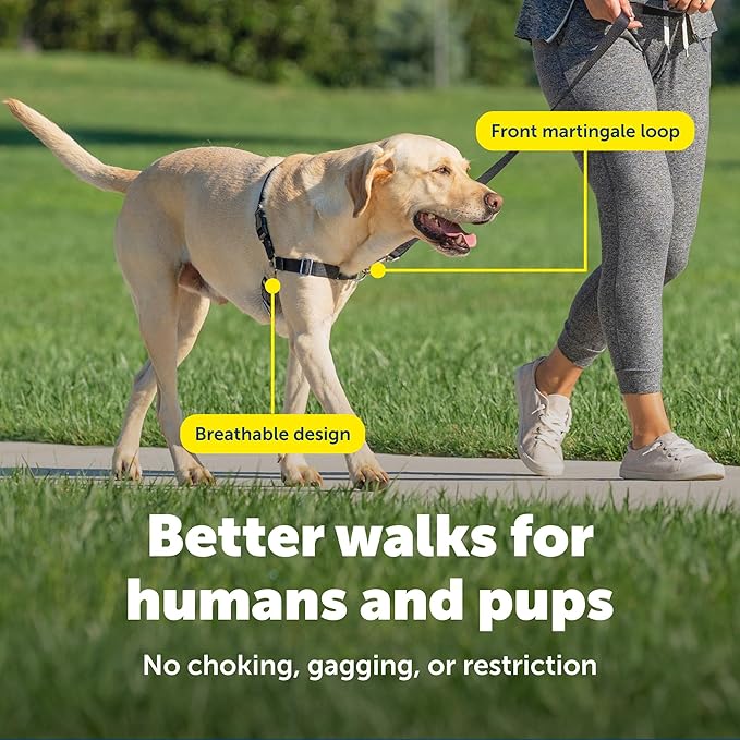 PetSafe Easy Walk Harness for Dogs - Image 4