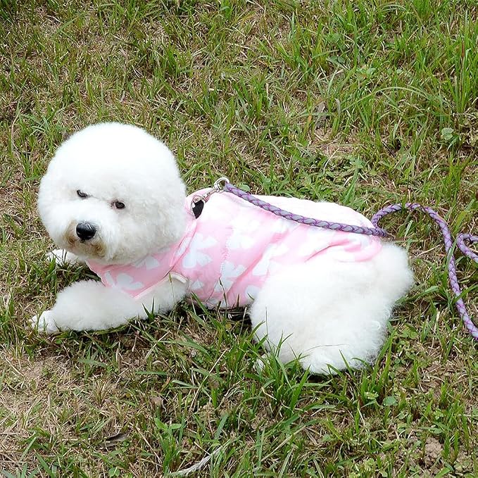 New Various Pet Cat Dog Soft Padded Vest Harness Small Dog Clothes Pink Bow S - Image 8