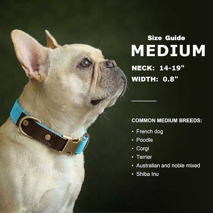 Didog Soft PU Leather Dog Collars - Image 3