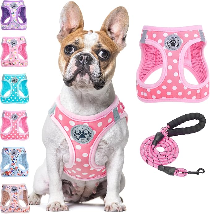 BEAUTYZOO Step in Dog Harness and Leash Set, Polka Dot Pattern Reflective Dog by BEAUTYZOO