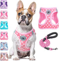 BEAUTYZOO Step in Dog Harness and Leash Set, Polka Dot Pattern Reflective Dog by BEAUTYZOO