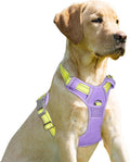 BARKBAY No Pull Dog Harness Front Clip Heavy Duty Reflective Easy Control Handle by BARKBAY