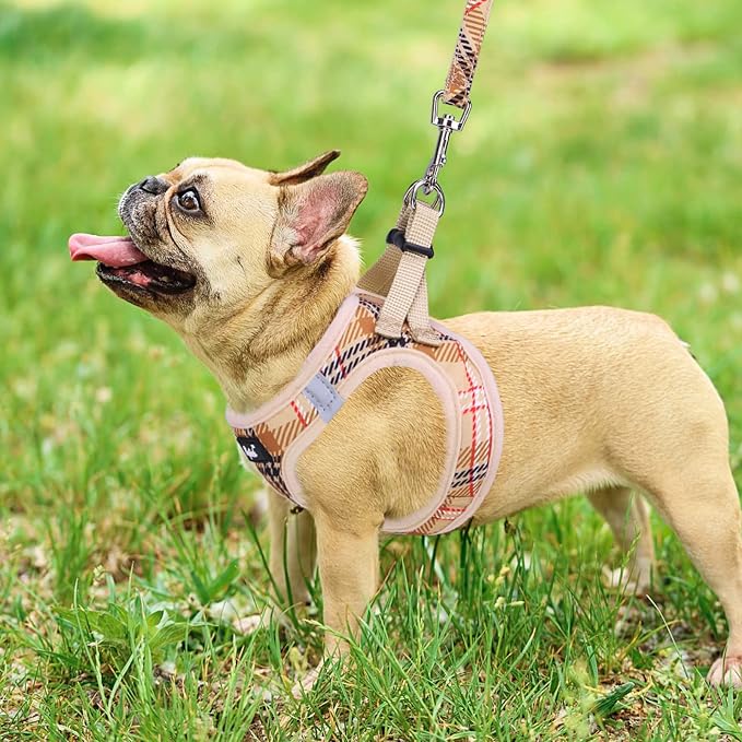 PUPTECK Dog Harness and Leash Set - Image 7