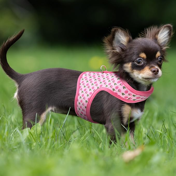 Mile High Life Dog Harness, Air Mesh Floral Vest Harness - Image 8