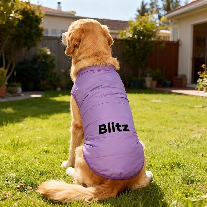 Personalized Dog Winter Coat - Image 6
