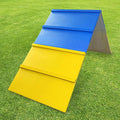 Tongmo Dogs Agility A-Frame: Premium Dog Agility Equipment by TONGMO
