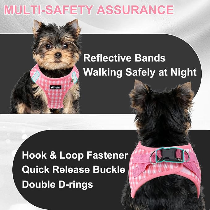 AIITLE No Pull Dog Harness and Leash Set, Step in No Chock Soft Mesh Dog - Image 4