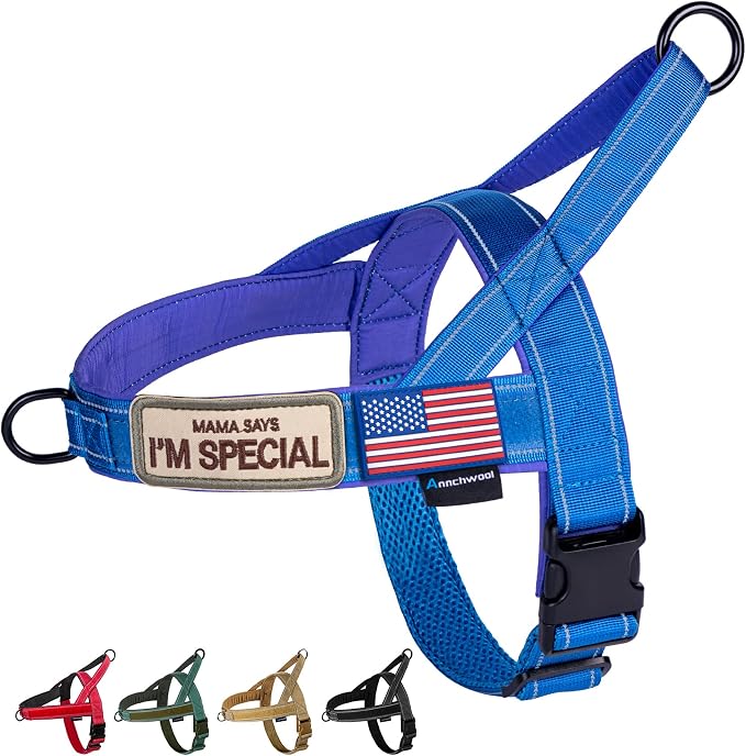 Annchwool No Pull Dog Harness by Annchwool