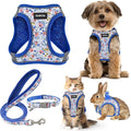 GAMUDA Small Dog Harness Collar and Leash Set, Step in No Chock No Pull Soft by GAMUDACollarsCollection