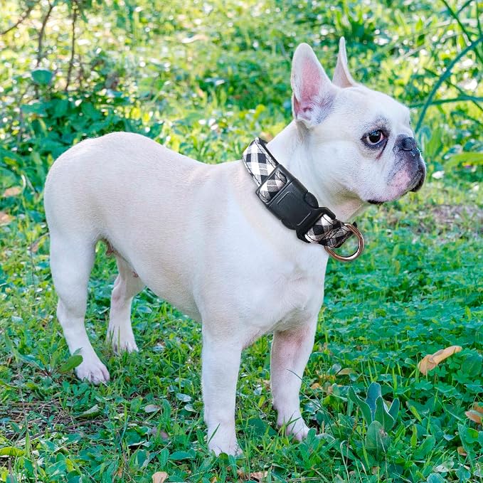Reflective Dog Collar Padded - Image 5
