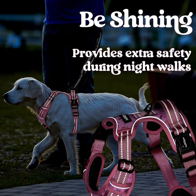 rabbitgoo Dog Harness Small Sized, No Pull Pet Harness - Image 9