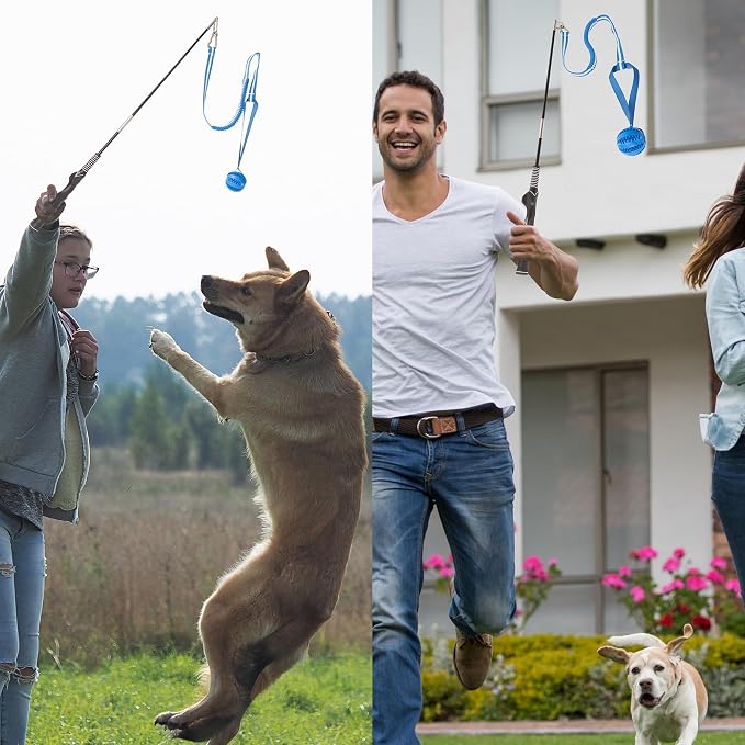 Flirt Pole for Dogs, Durable Dog Flirt Pole for Large Medium & Small Dogs - Image 2