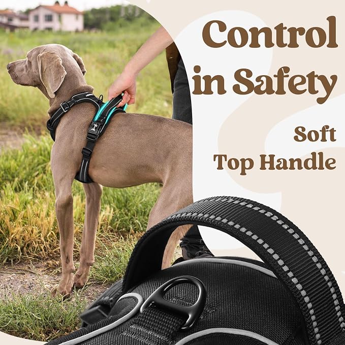 rabbitgoo Dog Harness Small Sized, No Pull Pet Harness - Image 5